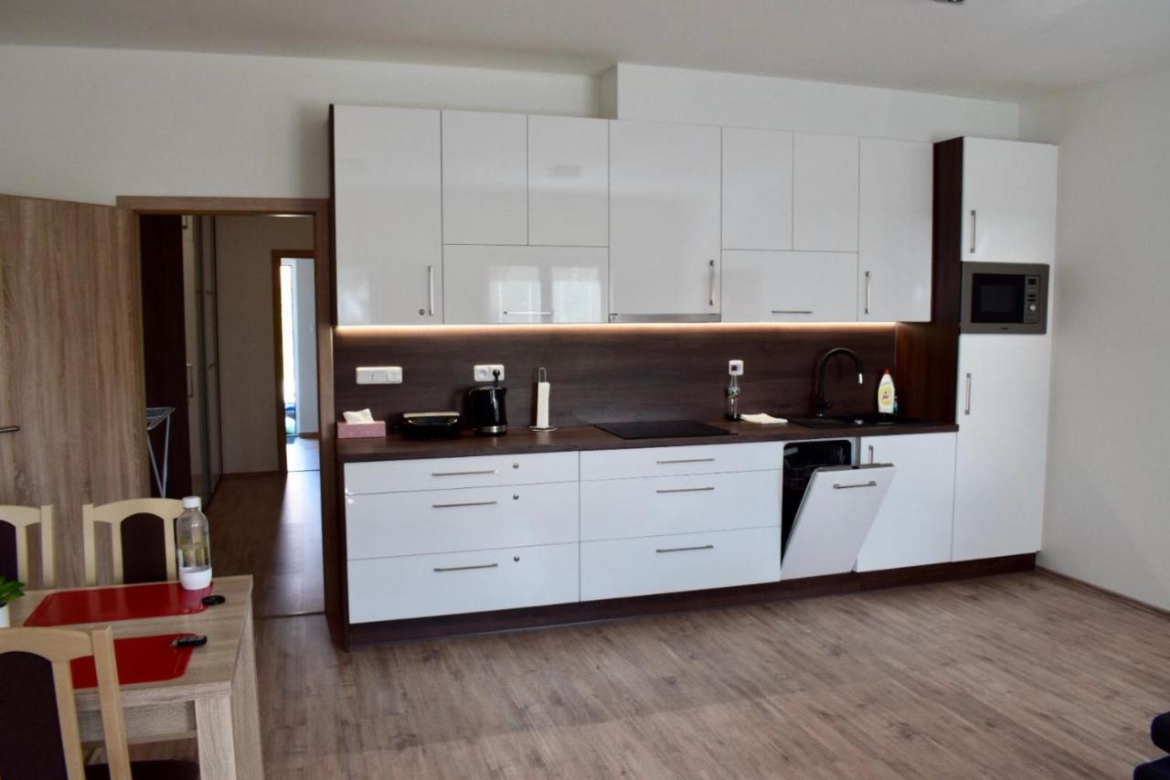 Apartment Valentin Frymburk
